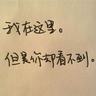 这个杀手不太冷